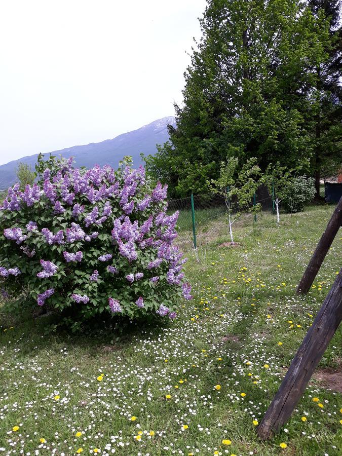 Apartment Gradina Korenica Kültér fotó
